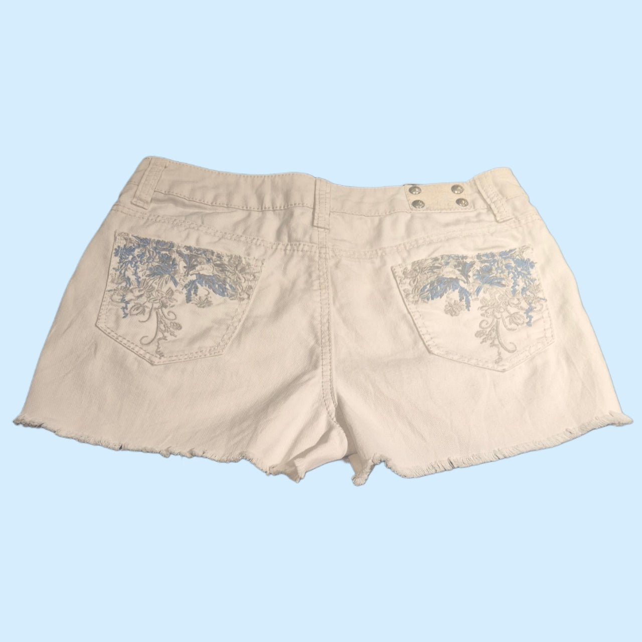 Style & Co Shorts